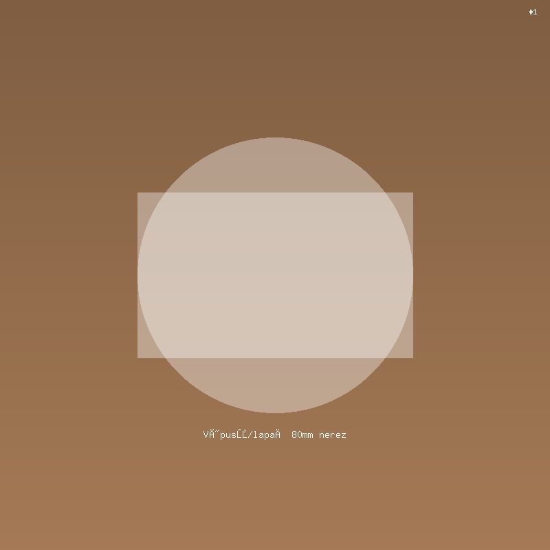 Výpusť/lapač 80mm nerez