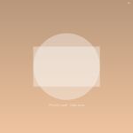 Výpusť/lapač 100mm nerez