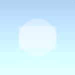 Plech lakovaný RAL 9005 0.55mm 1.25x2m